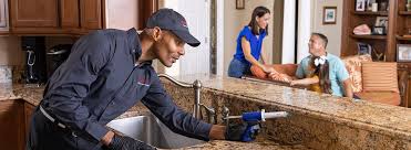 Best Residential Pest Control  in Hoschton, GA